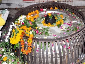 599531475nageshwarnath